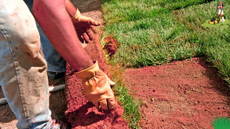 What Makes Landscaping Services in Bedford Worth Hiring?