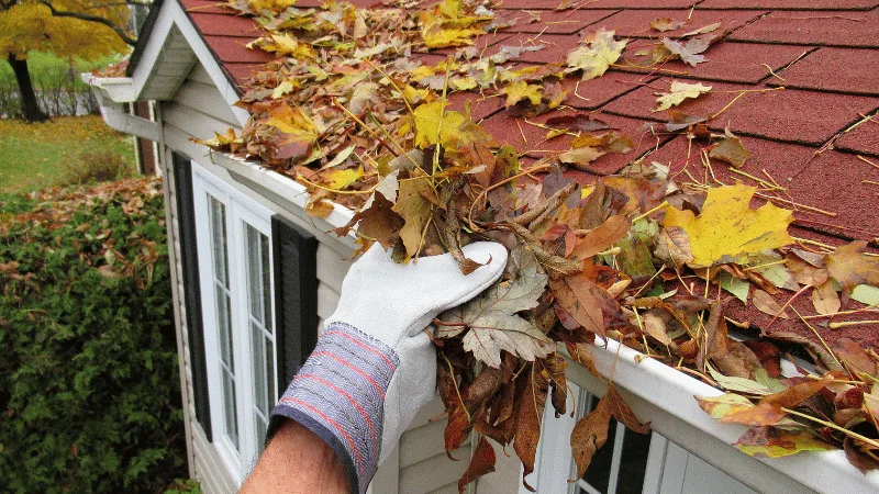How Gutter Cleaning Services in Halifax Prevent Costly Roof Leaks