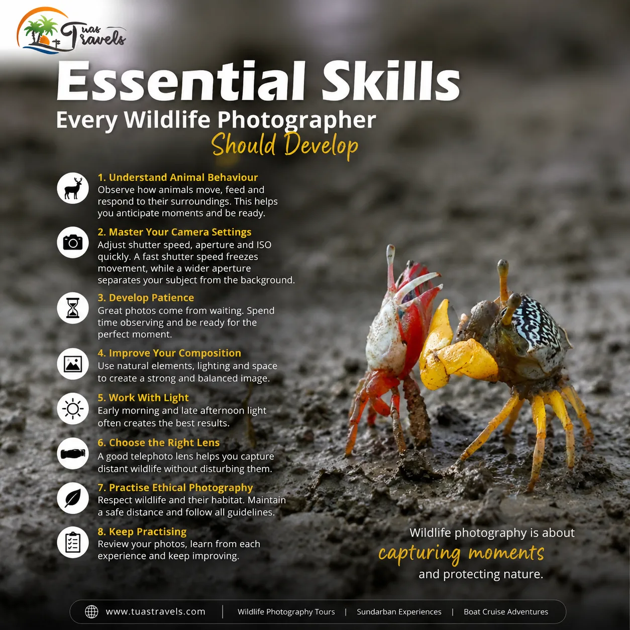Essential Skills Every Wildlife Photographer Should Develop