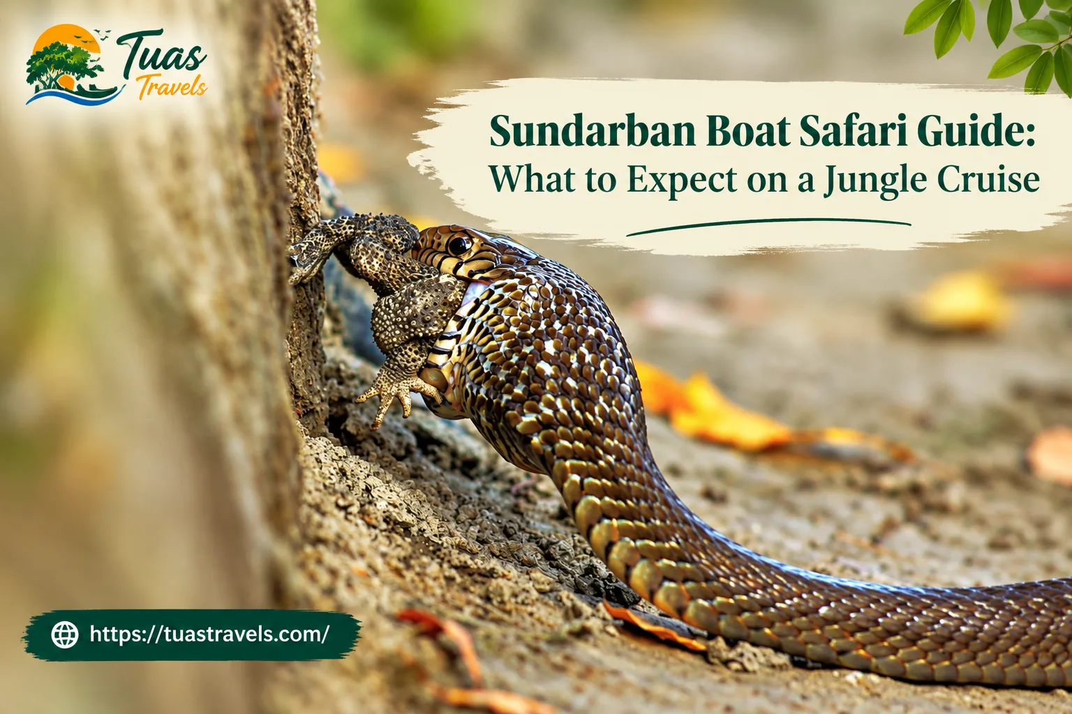 Sundarban Boat Safari Guide: What to Expect on a Jungle Cruise