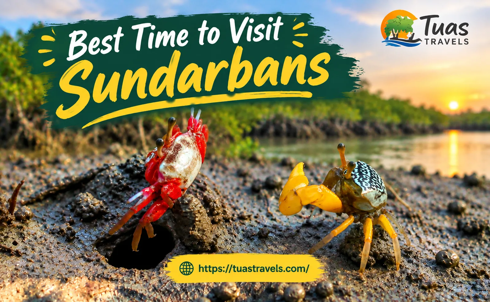 Best Time to Visit Sundarbans: Month-by-Month Guide for Wildlife, Photography & Boat Safari