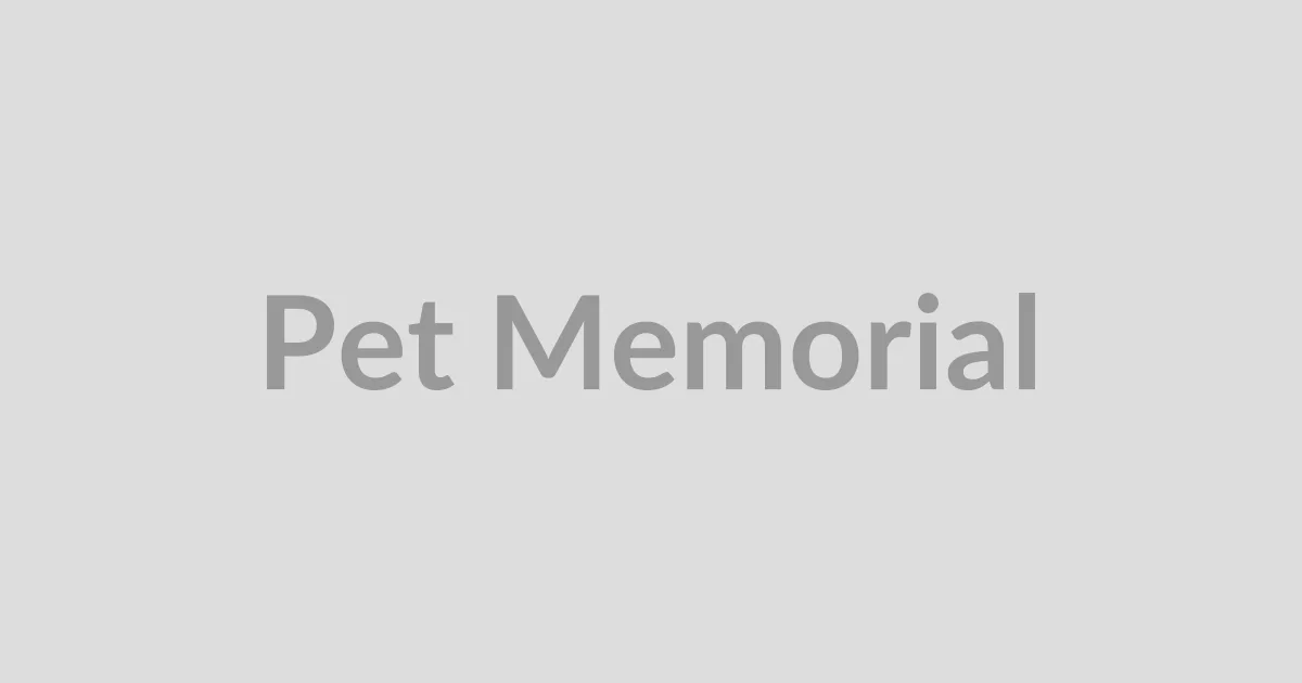 Choosing Cremation or Home Burial: What Pet Owners Should Know