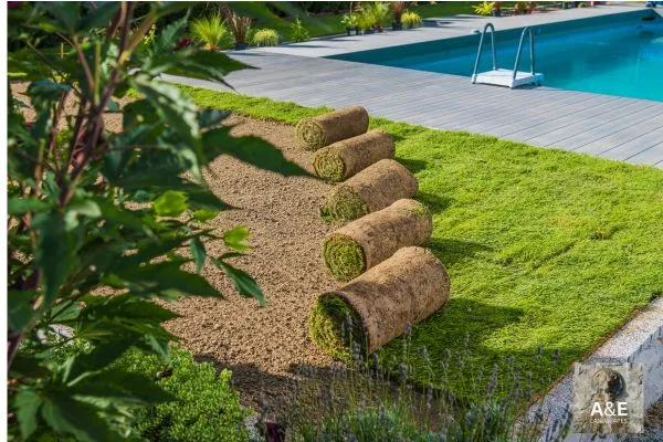 Planning a Landscape Installation Project: Budgeting and Timeline Tips