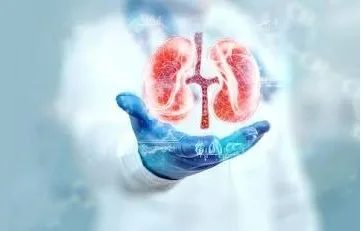 Urology Clinic in Bangalore: Finding the Right Urology Specialist