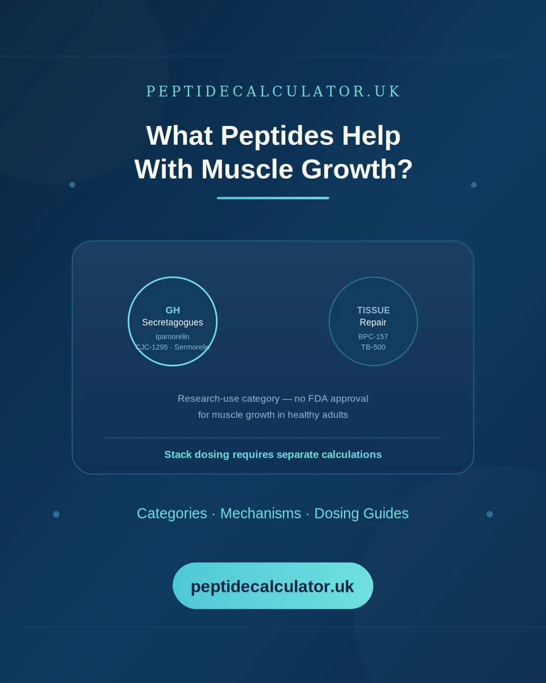 What Peptides Help With Muscle Growth?