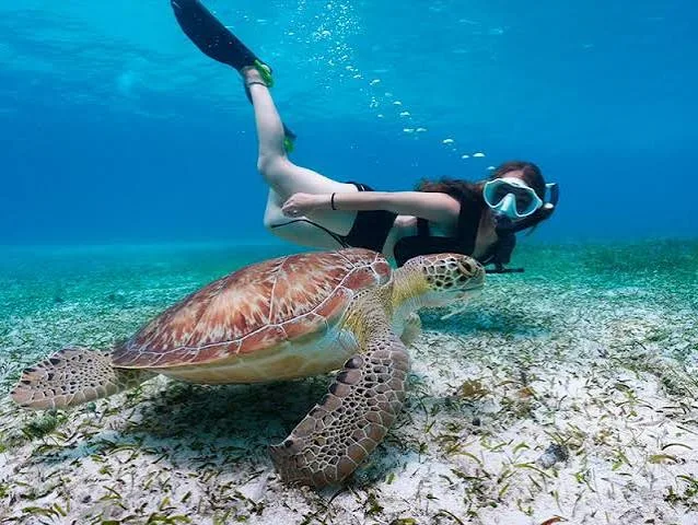 6 Features That Define a High-Quality Marine Experience