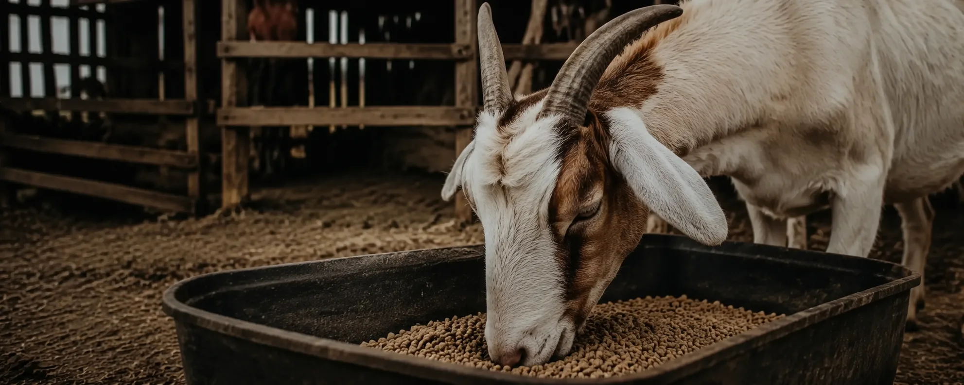 Why Are Your Goats Leaving Half Their Dinner Behind?