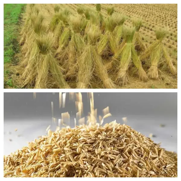 How Can Rice Waste Be Processed into Useful Biomass Products?