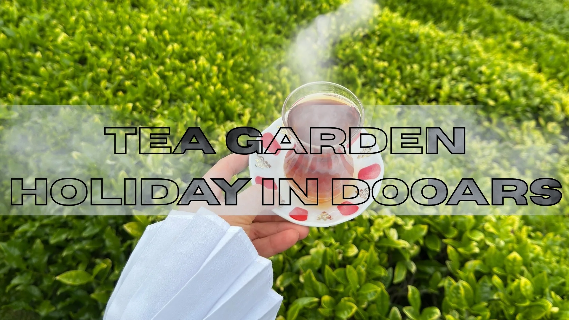 Tea Garden Holiday in Dooars | Tea Tourism in West Bengal