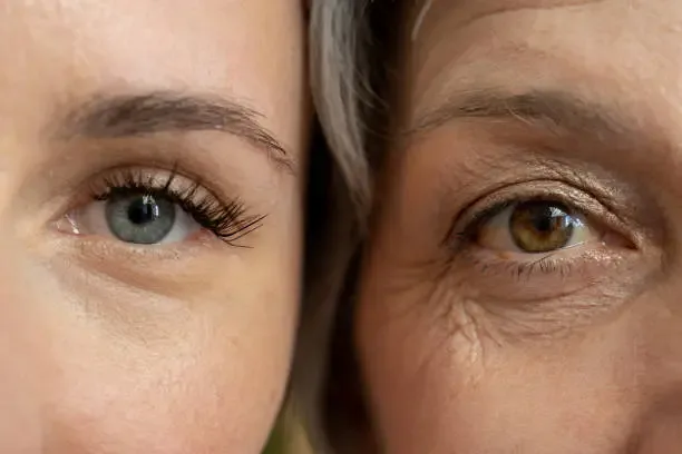 Can You Really Slow Down Biological Aging? What Science Says in 2026