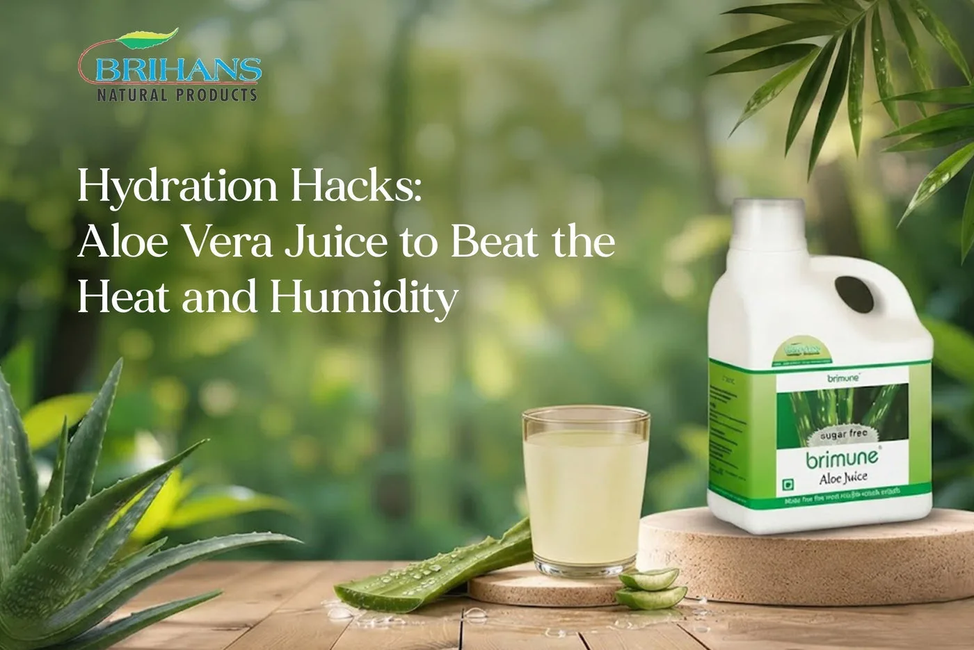 Hydration Hacks: Aloe Vera Juice to Beat the Heat and Humidity
