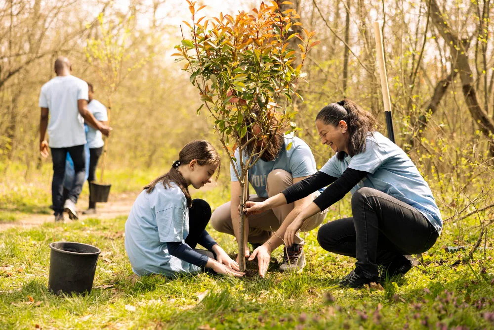 How Planting Trees Can Support Families in Need