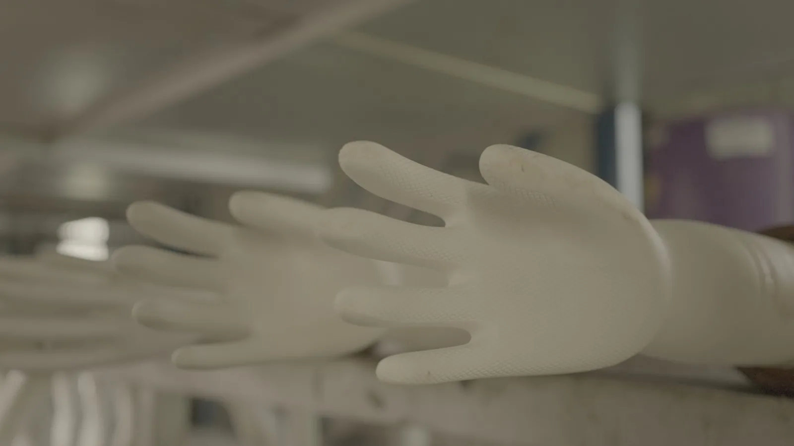 Why the Source Behind the Glove Matters