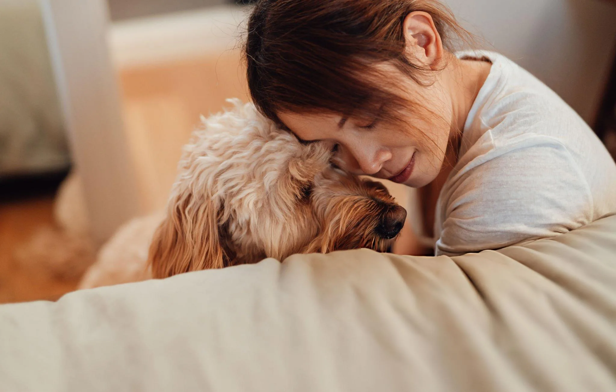 Emotional Support Animals and Senior Mental Health: What Caregivers Should Consider