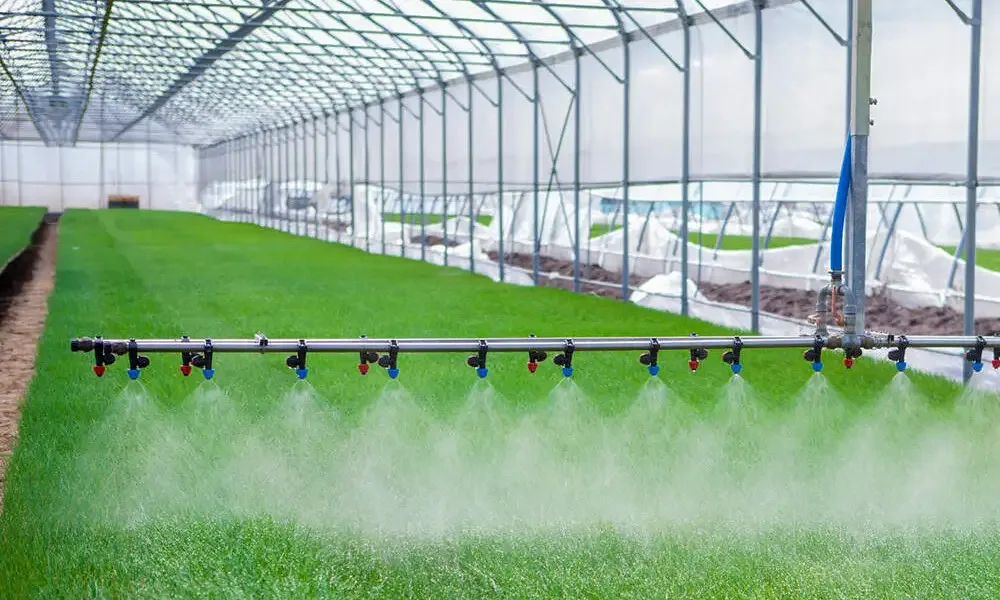 Why Sainpoly Multi-Span Greenhouses Are Ideal for Large Commercial Growers