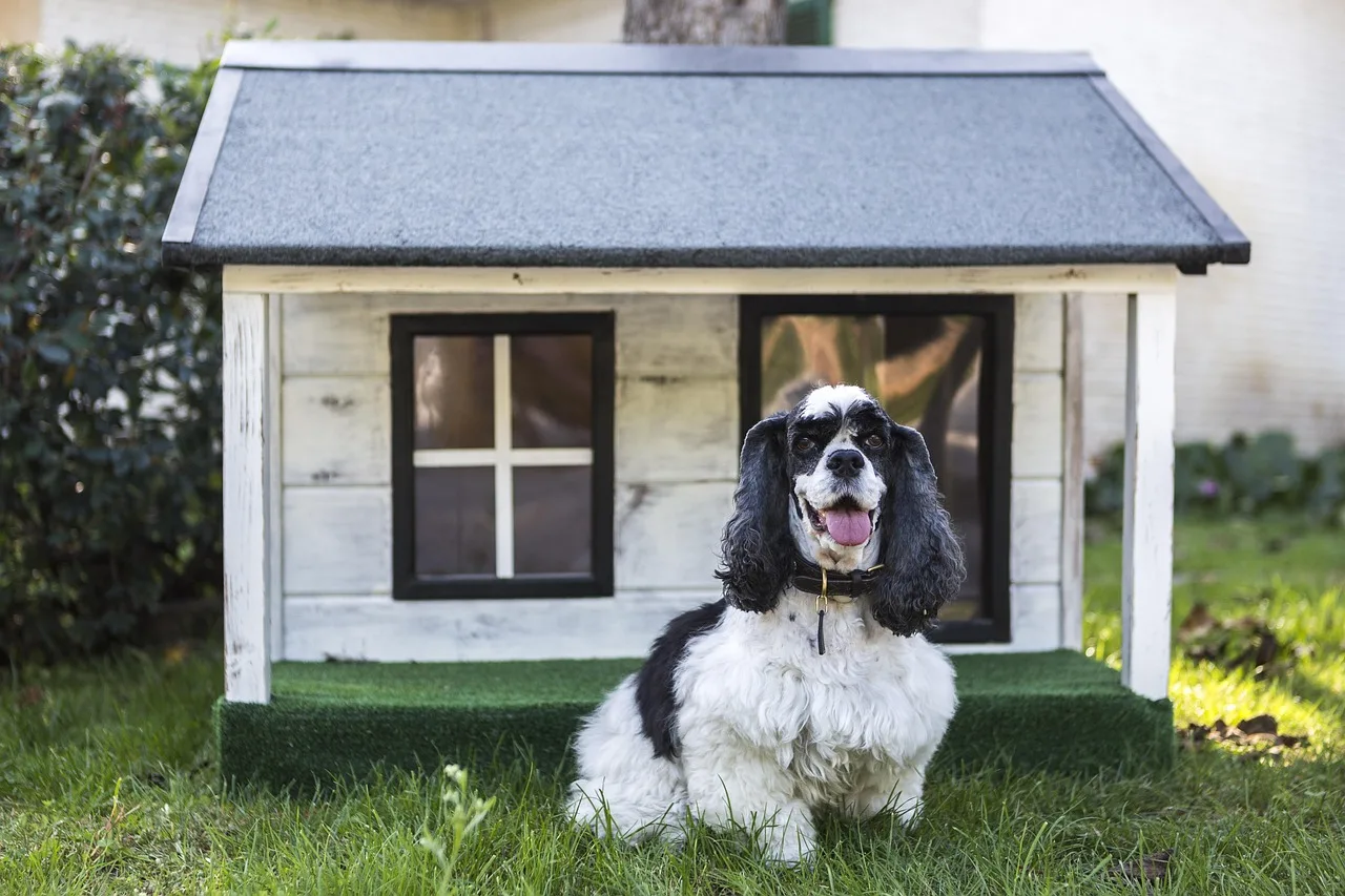 The Business of Better Pet Care: How Kennels Can Improve Daily Operations Without Losing the Personal Touch