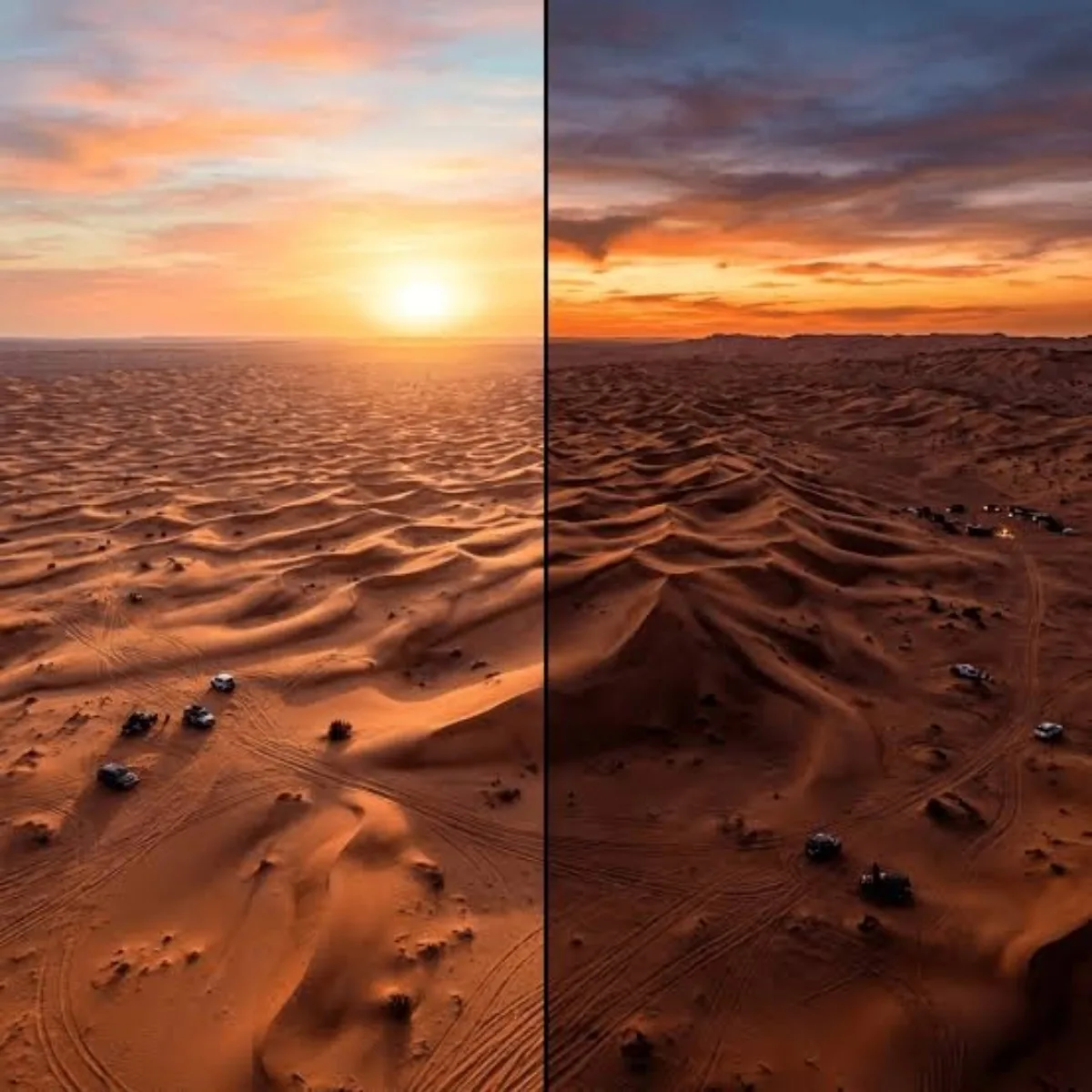 Morning vs Evening Desert Safari in Dubai: Which One Is Right for You?