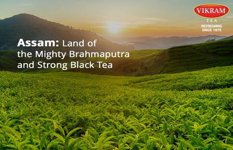 Assam Tea & The Brahmaputra: A Perfect Blend of Strength | Vikram Tea