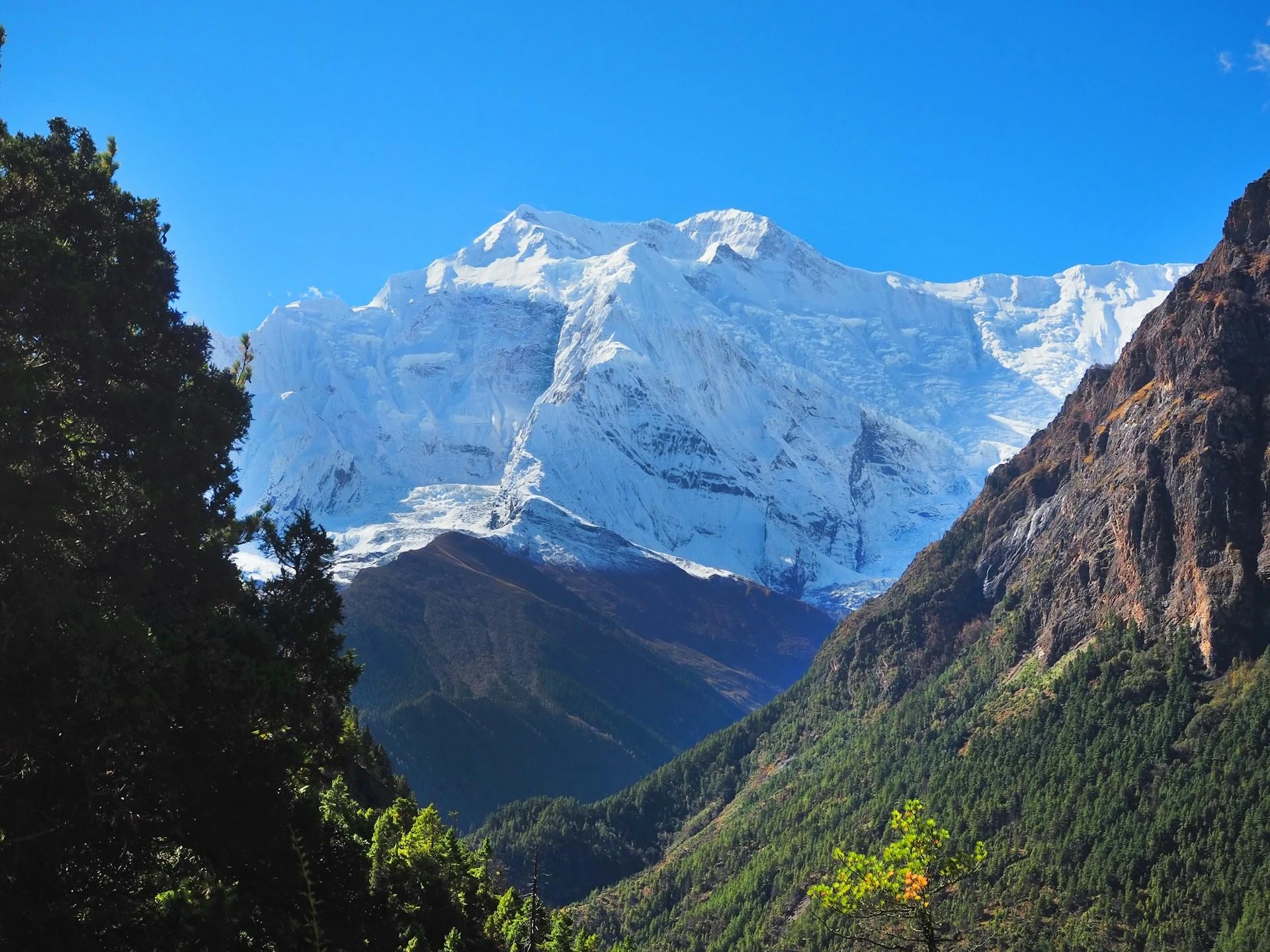 Annapurna Circuit Trek: A Journey Through Nepal’s Diverse Landscapes