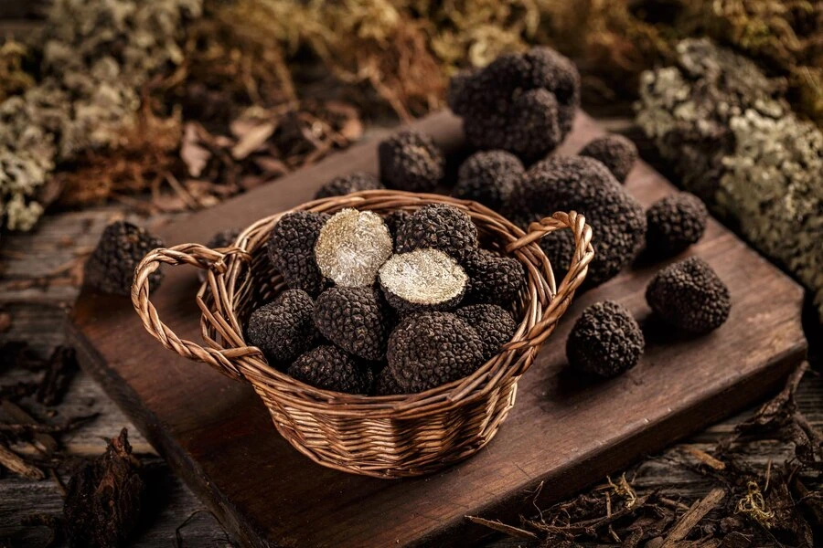 From Forest to Plate: How Truffle Is Harvested and Enjoyed Worldwide