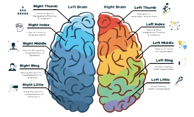Why Every Student Should Take a DMIT Test for Career Clarity