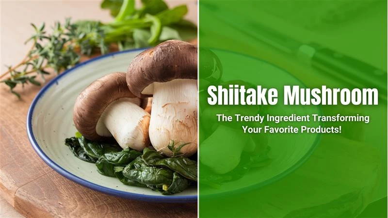  The Rise of Shiitake-Infused Products: Health Benefits and Culinary Innovations 