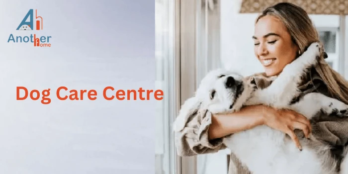 Everything You Need to Know About Dog Care Centers: A Guide for Pet Owners