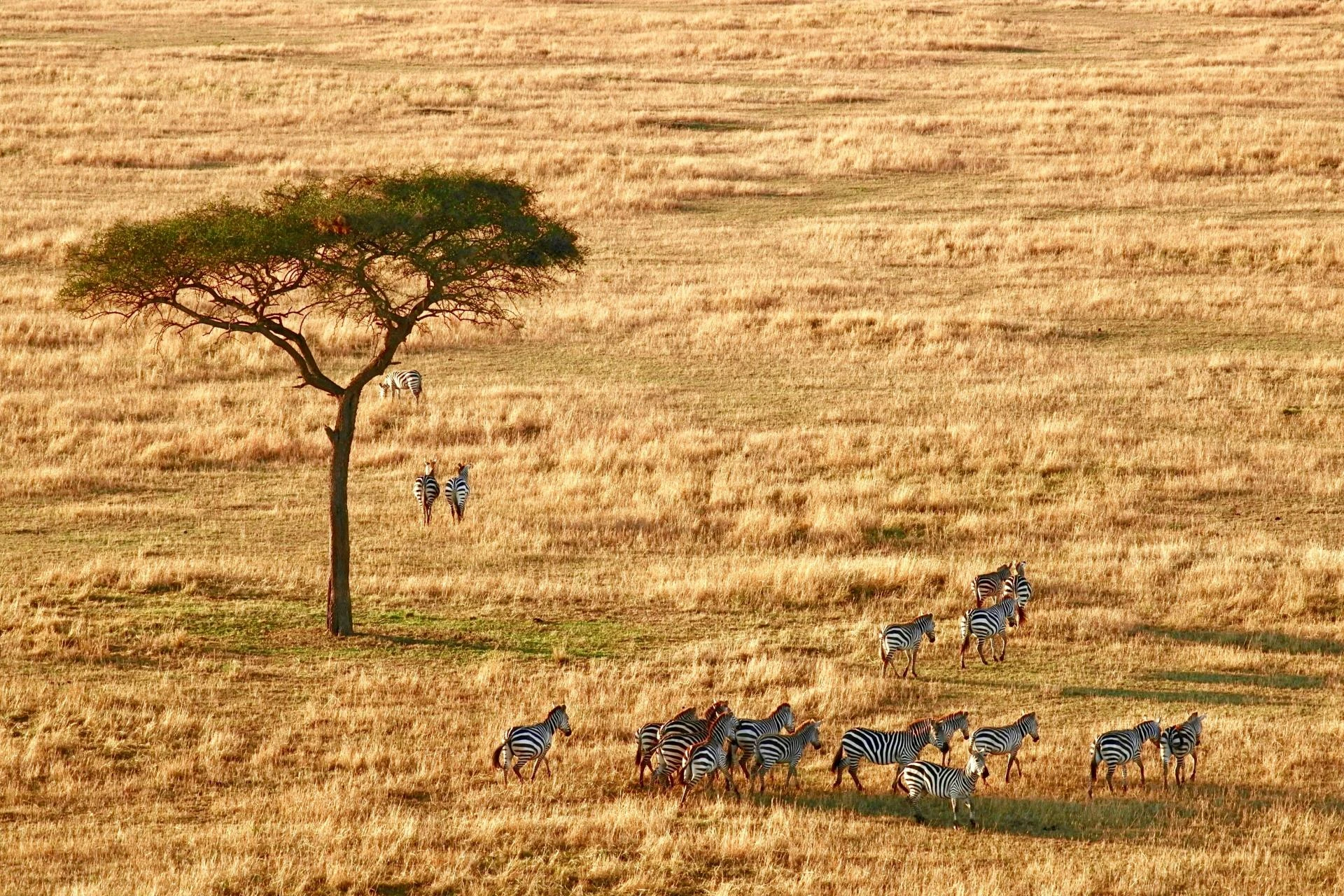 Family-Friendly Tanzania Tours: What to Do with Kids