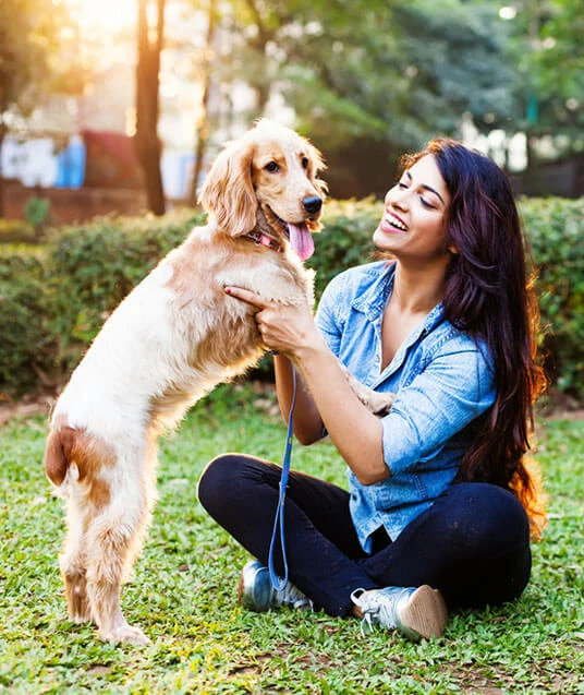 Pet Boarding in Delhi: A Safe and Comfortable Stay for Your Furry Friends