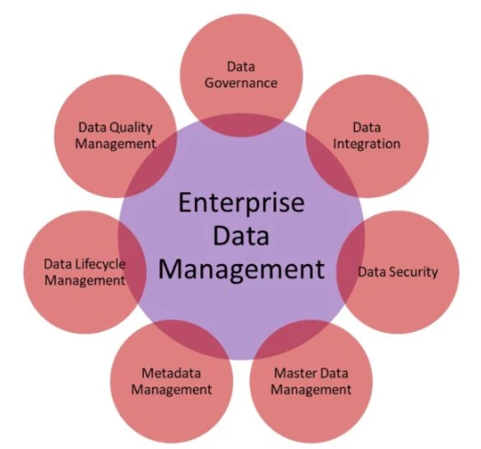 Enterprise Data Management Strategies for Improved Decision-Making