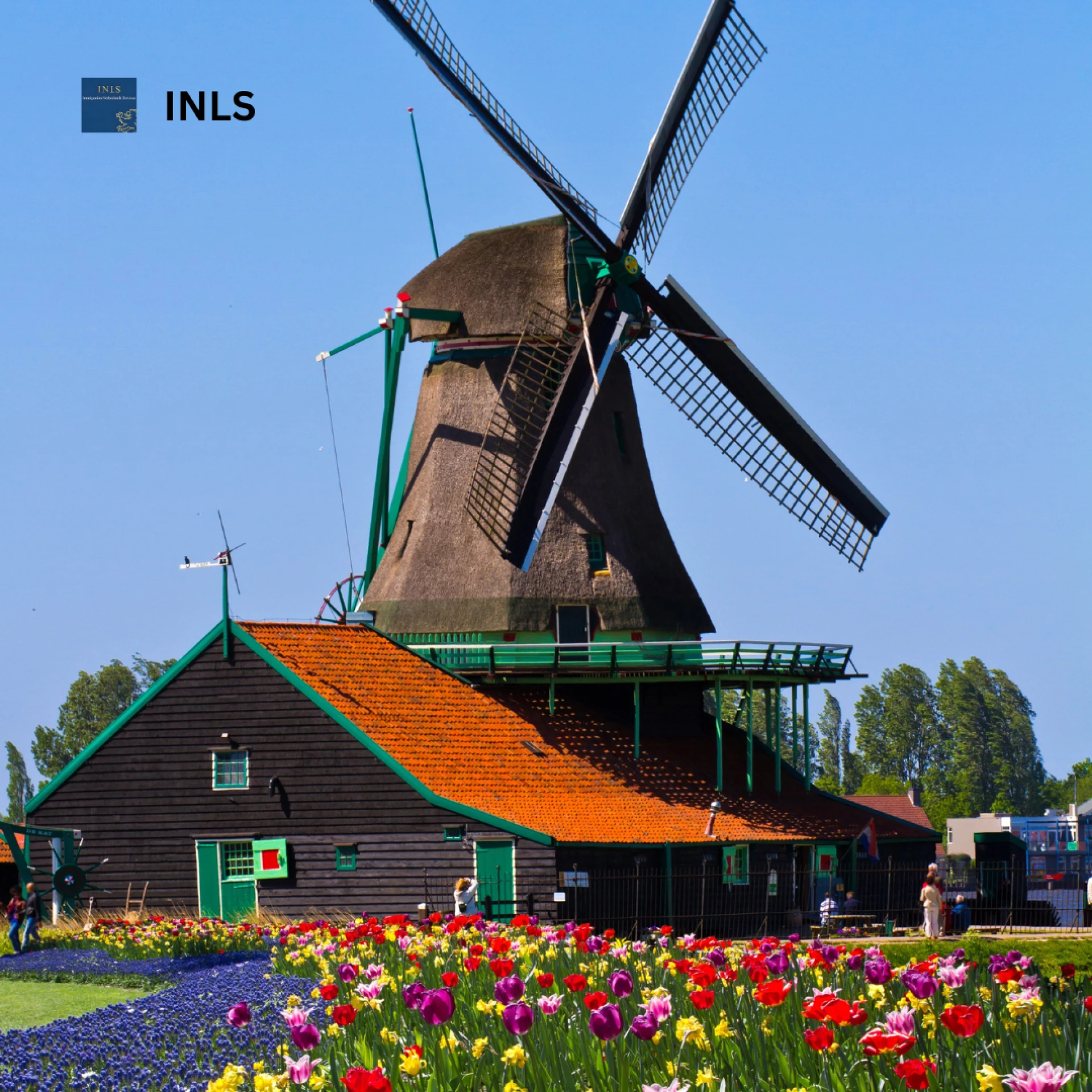 Top Benefits of the EU Blue Card for Skilled Professionals in the Netherlands