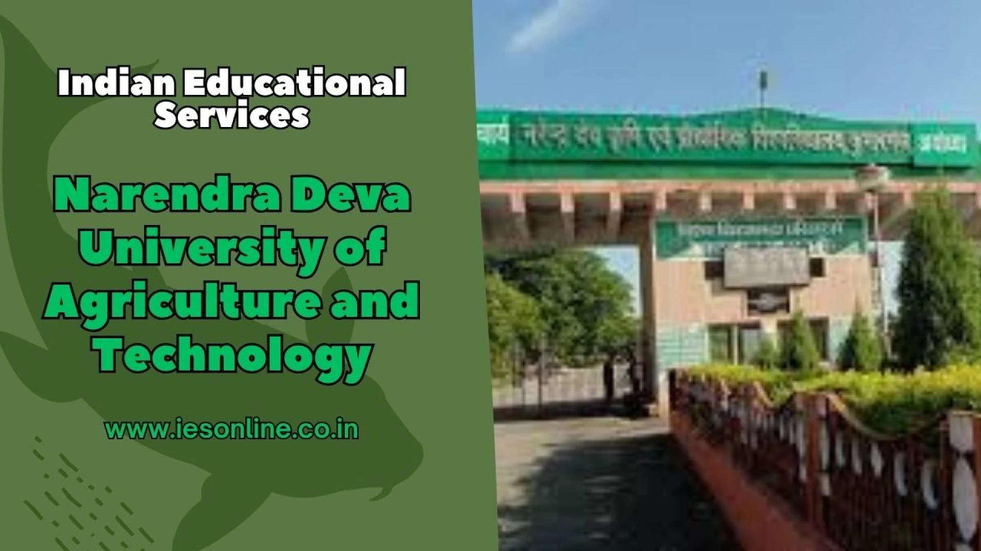 Narendra Deva University of Agriculture and Technology: A Hub of Agricultural Proficiency