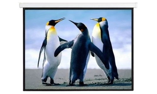 The Essential Guide to Electrical Screens: What You Need to Know