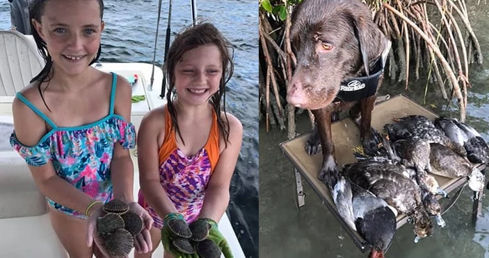 The Top 10 Offshore Fish to Catch Near Crystal River, FL