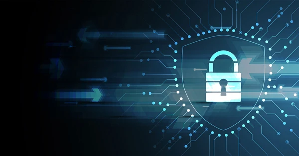 The Importance of Security Awareness in the Digital Age