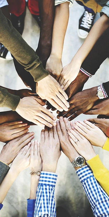 Do you suffer from Mental problems? Here is the solution