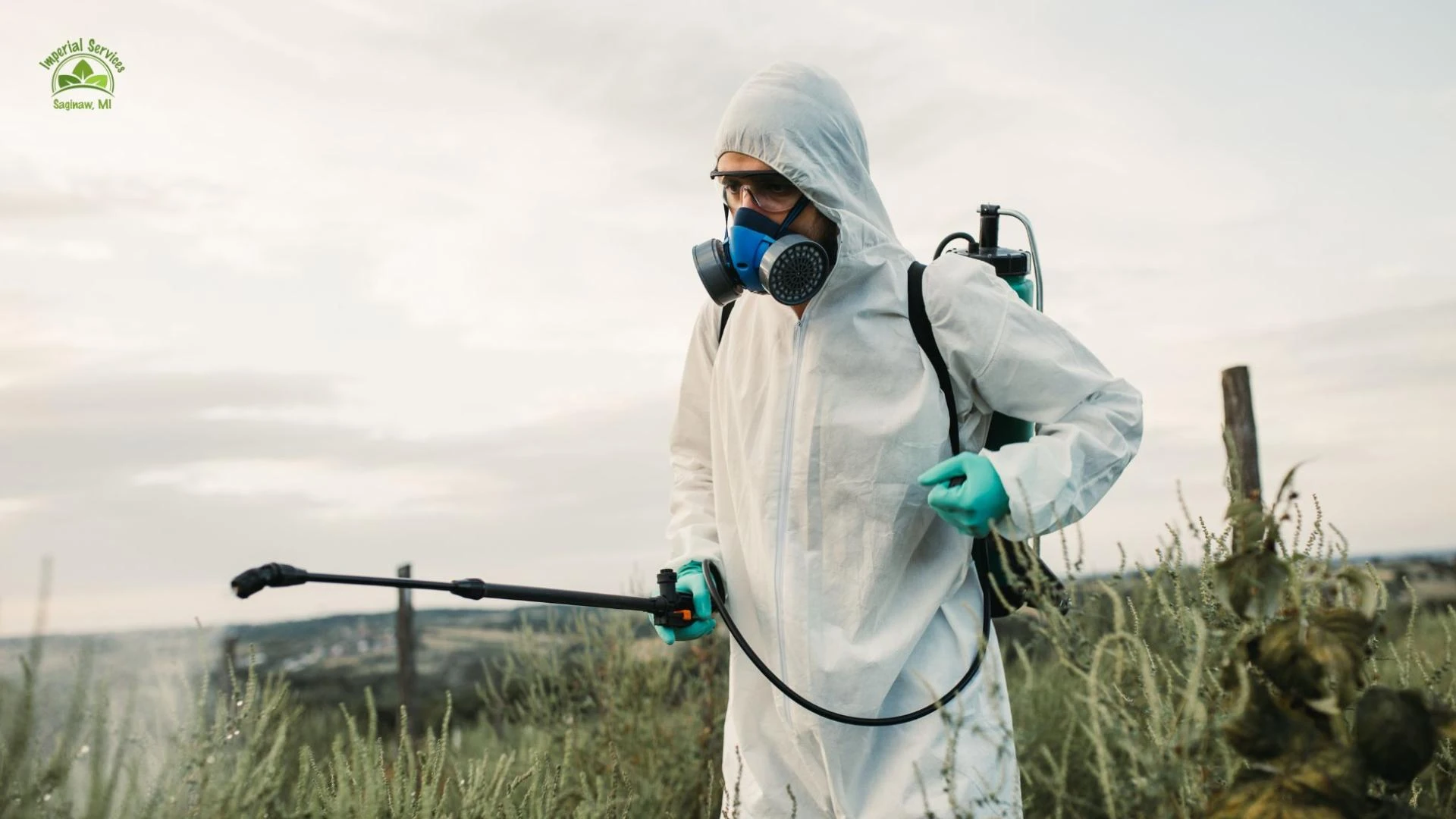 ​Effective Fall Lawn Weed Control: Best Sprays & Tips​