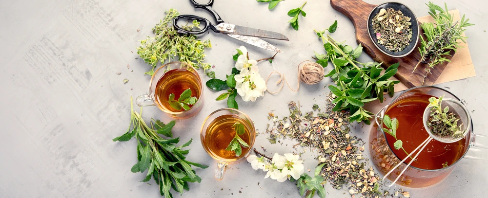 Chamomile vs. Lavender Tea: Which One is Right for You? 