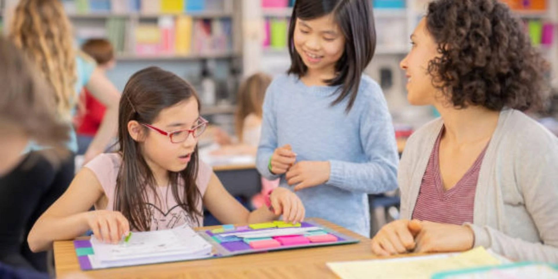 Elevate Your School's Image: The Power of Professional Folder Design