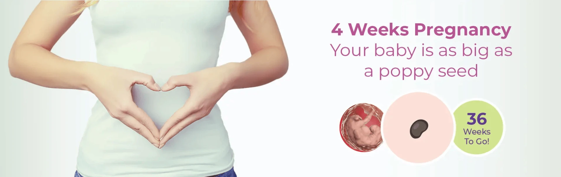 4 Weeks Pregnant: Symptoms, Baby Development & Belly Size