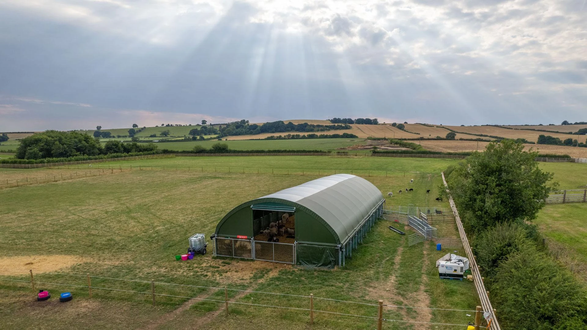 Create the perfect housing for goats to improve comfort and safety