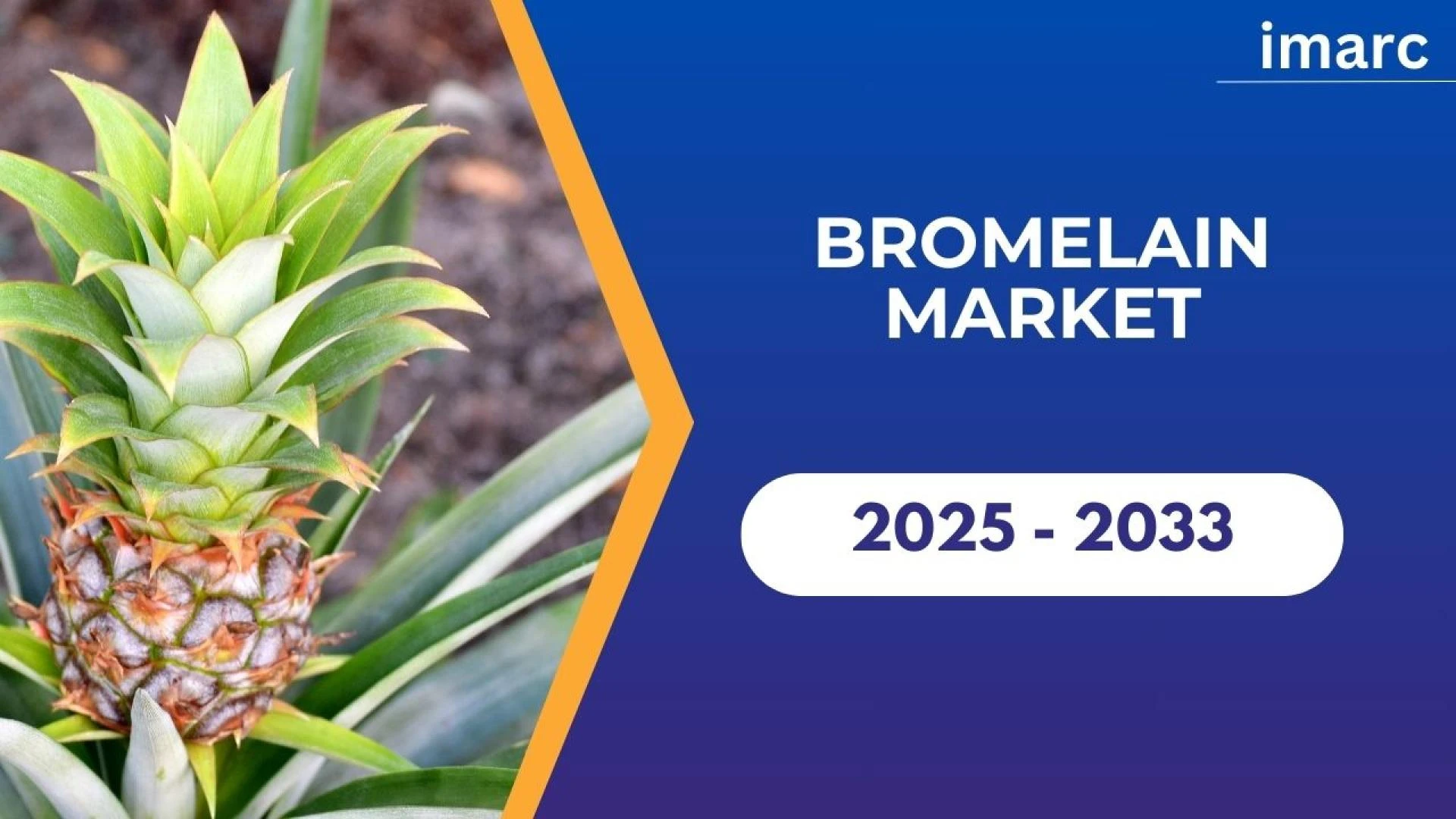 How Are Consumer Preferences for Plant-Based Ingredients Influencing the Bromelain Market?