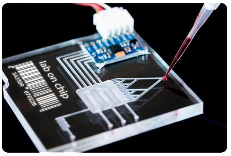 3D Cell Culture: Advancing Drug Discovery and Disease Modeling