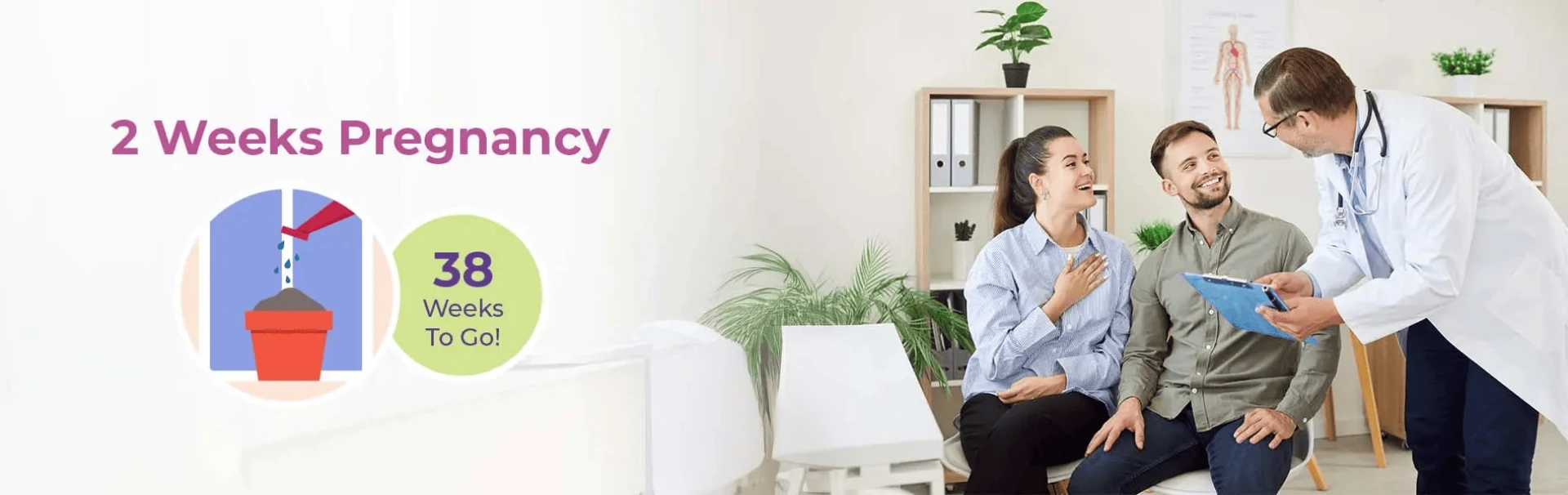 2 Weeks Pregnant Symptoms, Baby Size, Foods To Eat & Tips