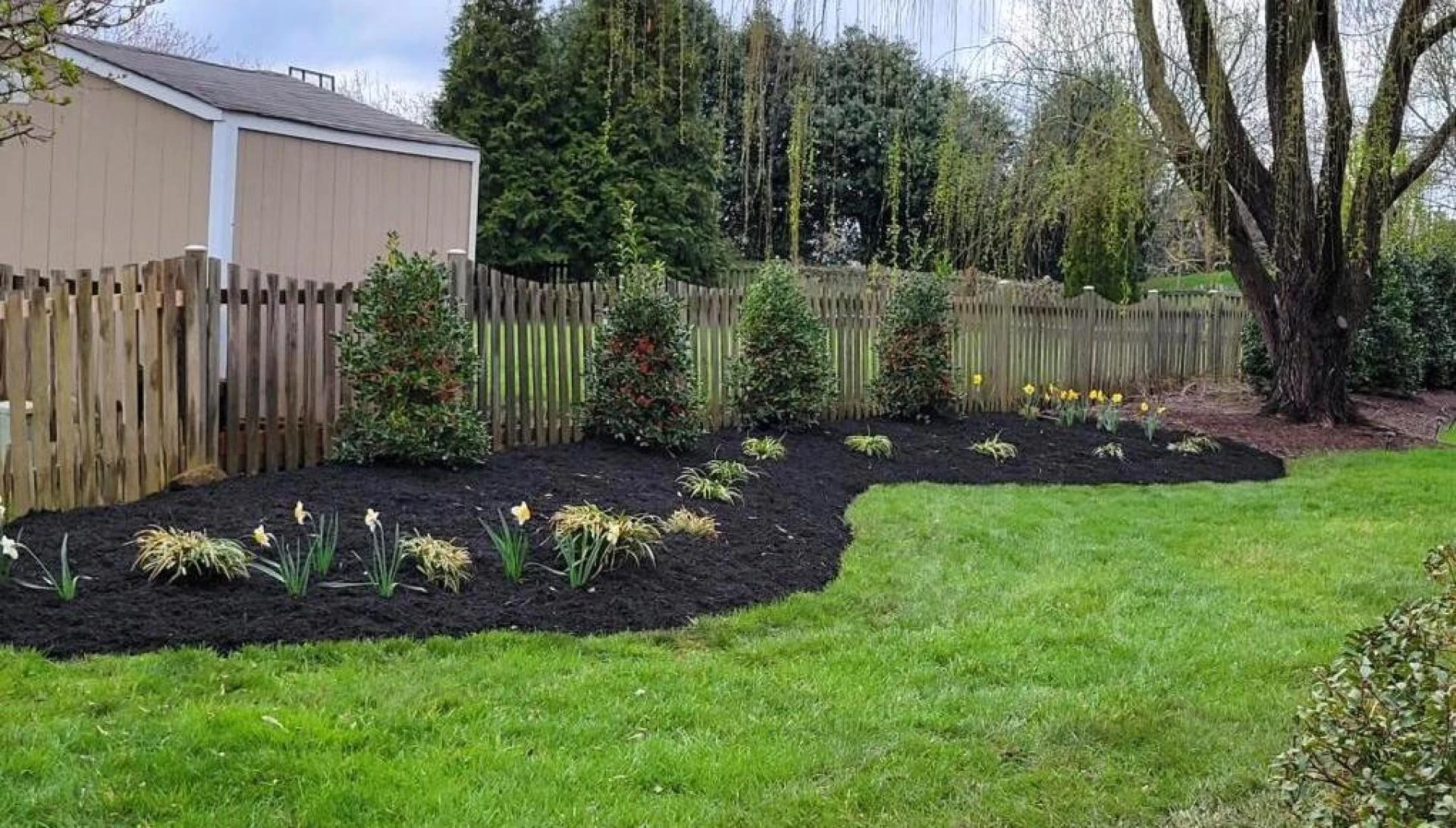 How Does Professional Tree Care Support Long-Term Landscaping Goals?