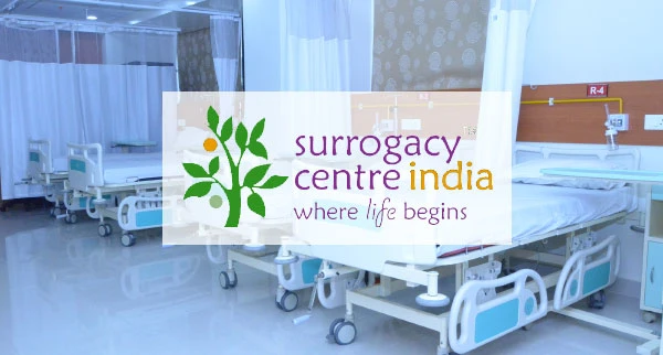The Role of IVF Clinics in Altruistic Surrogacy