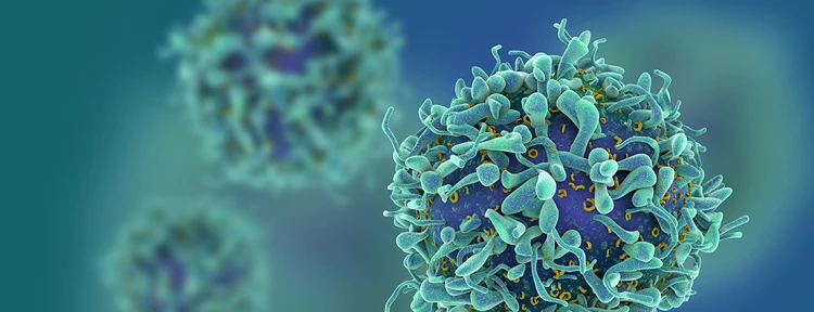 Overcoming Diagnostic Challenges in Pancreatic Tumors: Latest Advances in Oncology