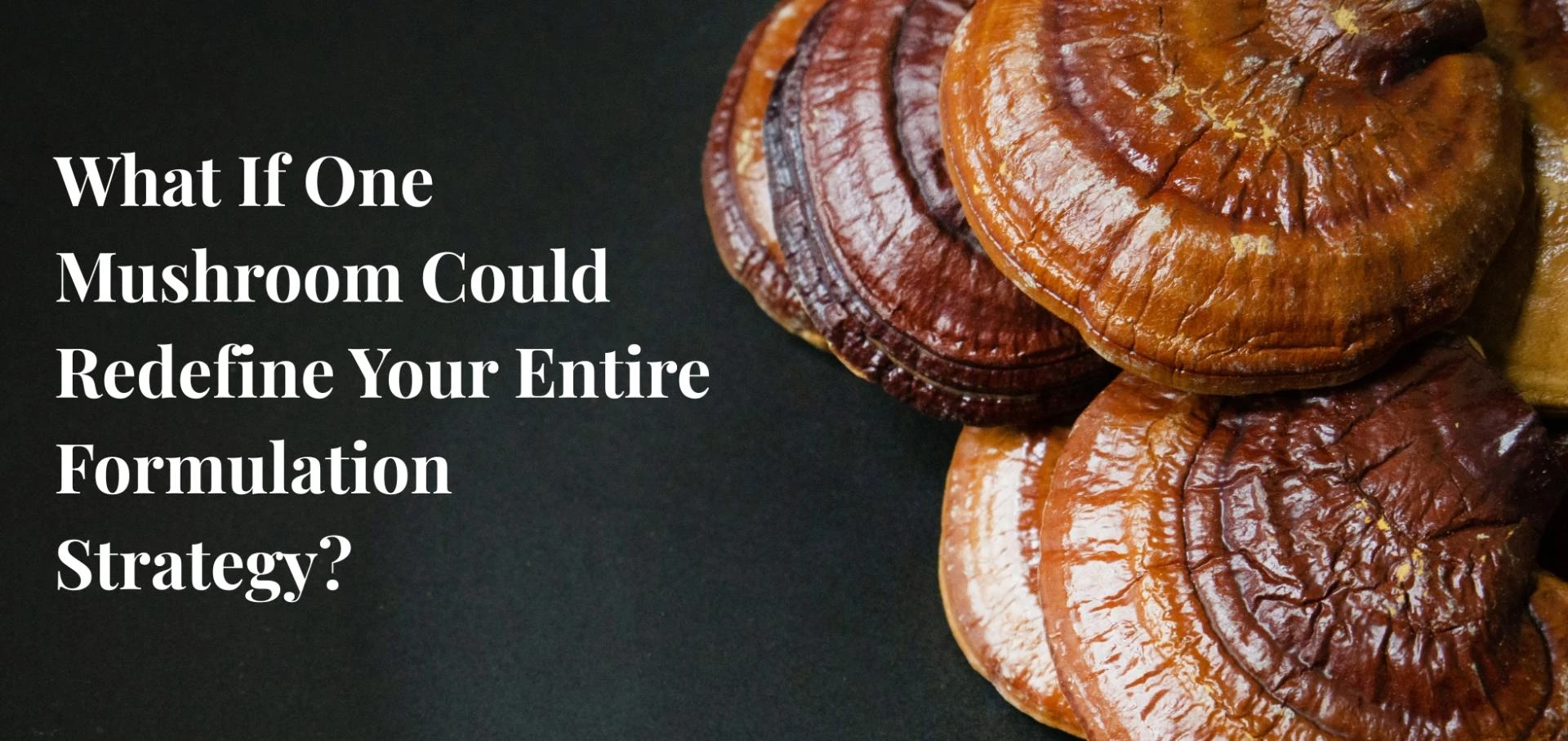 The Most Underrated Ingredient in Wellness—No, It’s Not Ashwagandha!