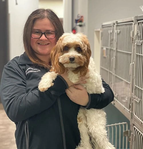 How a Veterinarian Can Transform Your Pet's Life Instantly