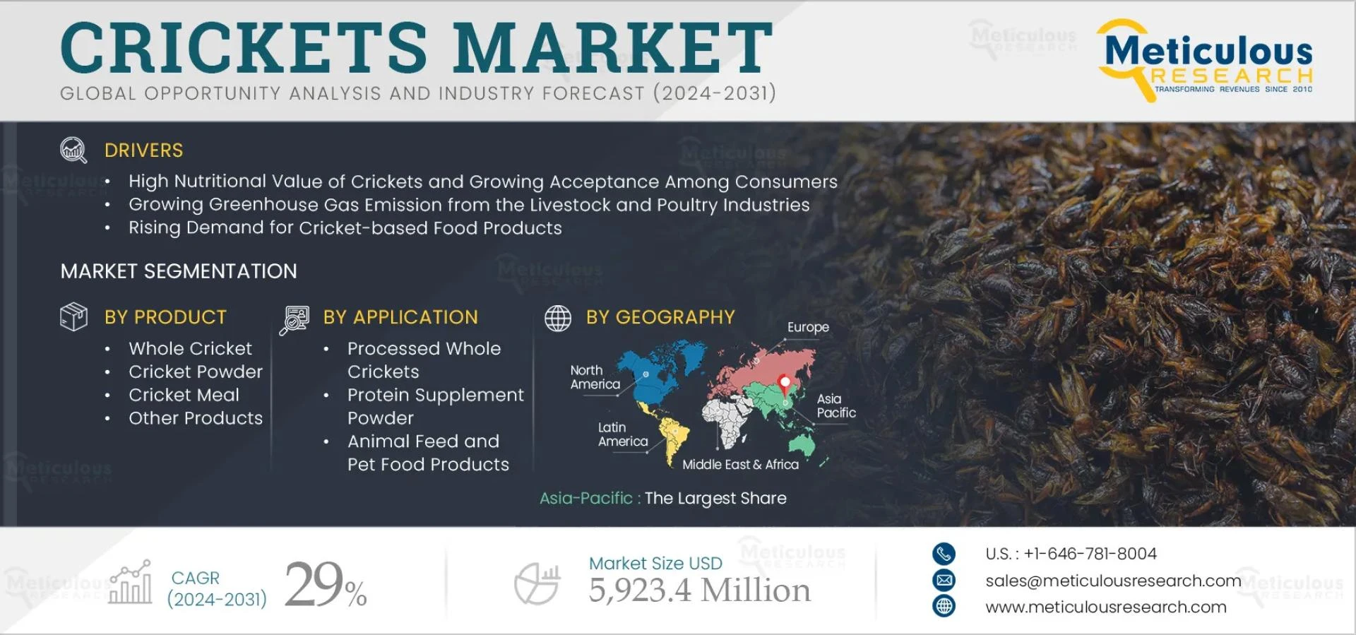 Crickets Market Projected to Hit $5,923.4 Million by 2031